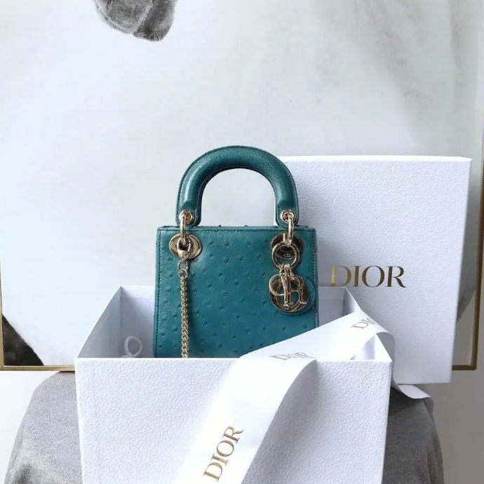 dior包包如何養護